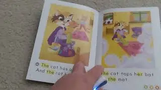 LeapFrog - Casey Cat has a Hat (interactive LeapReader Book)