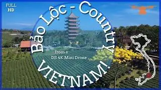 FHD Relaxing Drone video around Bảo Lộc, Việt Nam. Tea, coffee, waterfalls and Golden Phoenix Trees.