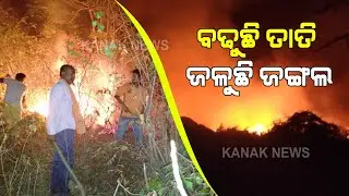 Odisha Is Burning: Forest Fires Continue To Rage In Balasore