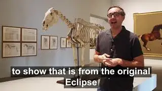 George Stubbs | Hywel on Eclipse