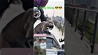 Cate driver😎😎 #shortsfeed #viralshort #youtubeshorts #comedy #ktmlover #racing