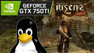 Risen 2 - Arch Linux KDE - GTX 750 Ti 2GB + i5 10400F