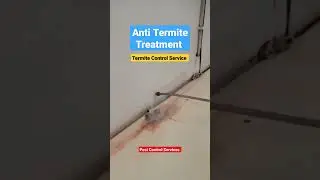 Pest Control Service | How to control termites | Anti termite treatment 🐜🪳🦟🕷️🦗 #pestcontrol