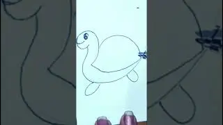 How to draw a cute tortoise 🐢