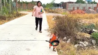 Too Cute to Miss! CUTIS and Baby Monkey Get Busted Cooking Outdoors