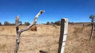 De el Rancho Durazno a Huisquilco Jalisco