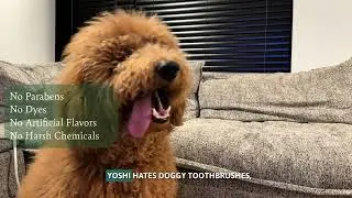 Pawsher Dental Wipes for Dogs Dental Care