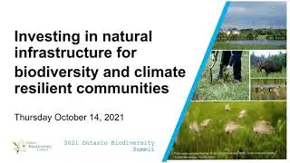 Investing in Natural Infrastructure for Biodiversity and Climate Resilient Communities