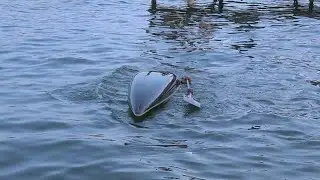Canoe Slalom Eskimo Roll Slow Motion