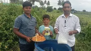 Organic Culture l पिकाला खत उपलब्ध करून देणारे ऑरगॅनिक कल्चर ll NPK Bacteria