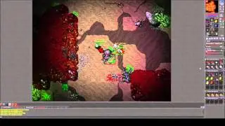 Tibia #087   Double XP Week - Tripe XP - Ancient Scarabs mal einfach wegbomben