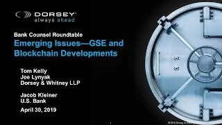 Emerging Issues&mdash;GSE and Blockchain Developments