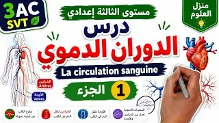 درس الدوران الدموي مستوى الثالثة إعدادي الجزء الأول| La circulation sanguine 3AC SVT
