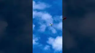 Lynx Air B737 MAX 8 departs YYZ-LAX Flight F/C: DAT638 REG: C-FULJ #shorts #planespotting #subscribe