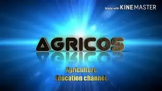 Maharashtra Agriculture Services mpsc 2018|notification|syllabus|Exam detail 2018 2018