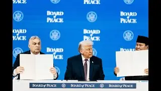 Zelináři všech zemí, spojte se! Jaké poučení nabízí grónská krize a setkání světových elit v Davosu?