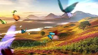 Warm Cozy Nature Ambience 🌿 | Soft Forest Sounds for Relaxation, Sleep & Peaceful Moments