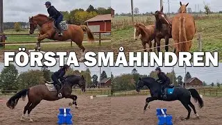 FÖRSTA HOPPNINGEN PÅ FLERA MÅNADER - Stallvlogg