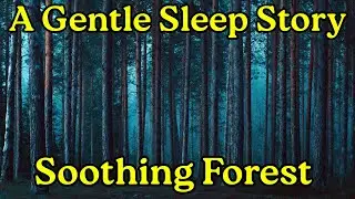 Fall Into Deep Sleep in a Soothing Forest | Guided Relaxation with Night Canopy & Root Breathing