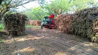 lokomotif paling besar nomor 8 ada di plasemen timur