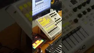 Messing around with my Roland TB-3 Part 2 #acidtechno #technomusic