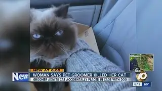 Woman says local pet groomer killed her cat