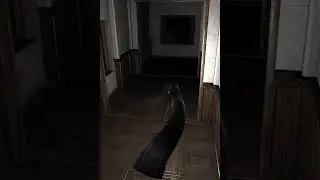 Real Krasue And Ghost Krasue Race To The Window. Charlie Says 