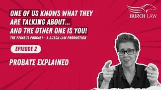 Episode 2: Probate Explained (Audio)