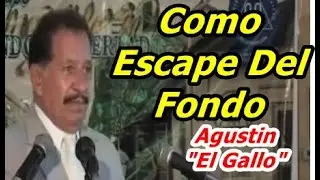 Agustin Zenea 