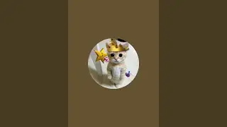 cutecat_450🐱 is live! Minecraft 1.18 let's play updating my version every week pt2