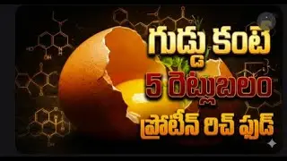 గుడ్డు కన్నా 5 రెట్లు ప్రోటీన్! | Amazing Vegetarian Protein Foods Telugu