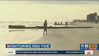 Environmental leaders monitor Red Tide's impact on Pinellas County
