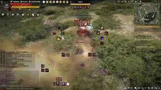 NINJA CC BDO