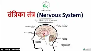 NERVOUS SYSTEM BY AKSHAY SHRIVASTAVA SIR FOR SSC RAILWAY BANKING #gk #currentaffairs #short 