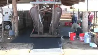 Polylast Cattle Flooring