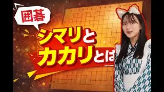 囲碁19路入門 シマリとカカリとは