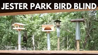 Jester Park Bird Blind