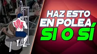 JALÓN FRONTAL EN POLEA ALTA | Debes saber esta variante💯 - Frank Serapión.