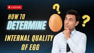 Determination of internal quality of Egg