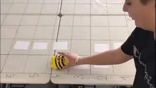 BeeBots - einfach erkl&auml;rt