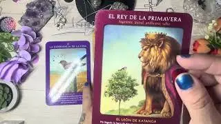 ACUARIO ♒️ Llegan cambios importantes y tomaras otra dirección que te lleva al éxito wow #acuario 