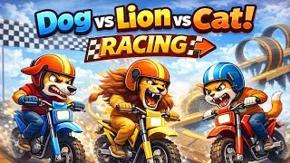 Animal Racing Game Bangla | Dog vs Lion vs Cat | ToonVerse Play #gameplay #funny  #androidgame 