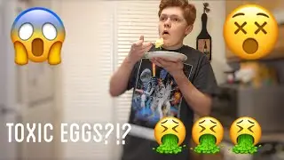 TOXIC EGGS?!?