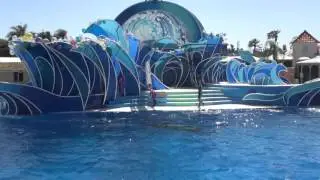 SWS  Dolphin Days  ドルフィン・デイズ
