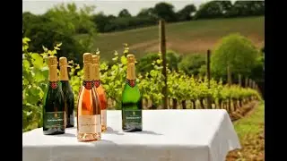 The quiet triumph of English wine