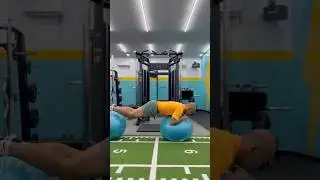 Core strength,plank with 2 Swiss ball. #core #abs #fitness