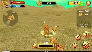 Wild Cheetah Sim 3D Android Gameplay  HD #1