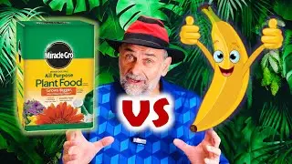 Is Synthetic Fertilizer Really Safe for Growing Food?