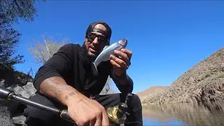 SHORE FISHING with 2 BIG SWIMBAITS for BIG BOULDER sized BASS!