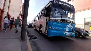 Ruta-95 San Angel #13